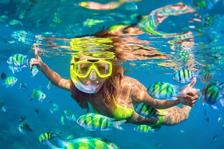 Snorkeling Trip with pick up ( beach)