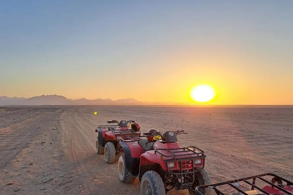 Sunset Safari from Marsa Alam — Experiences