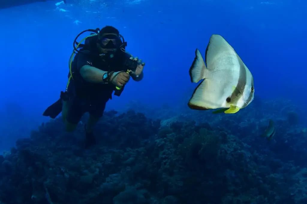 Tiran Island Snorkeling Trip from Sharm El Sheikh — Experiences