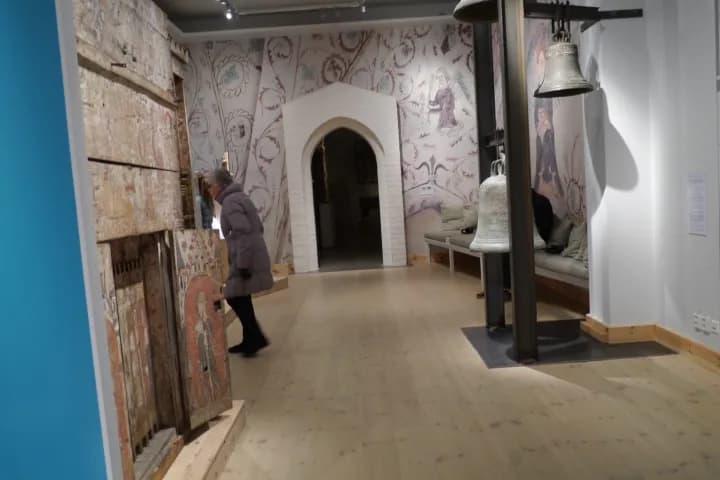 Private Swedish History Museum Tour