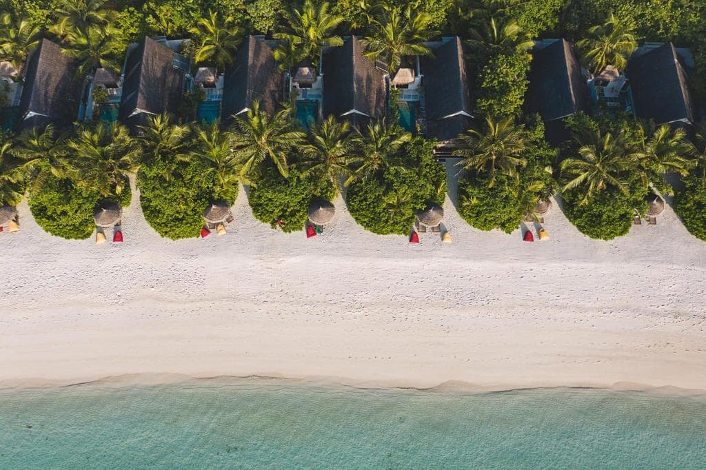 OZEN LIFE MAADHOO 5* - Luxury and free transfer — Resorts
