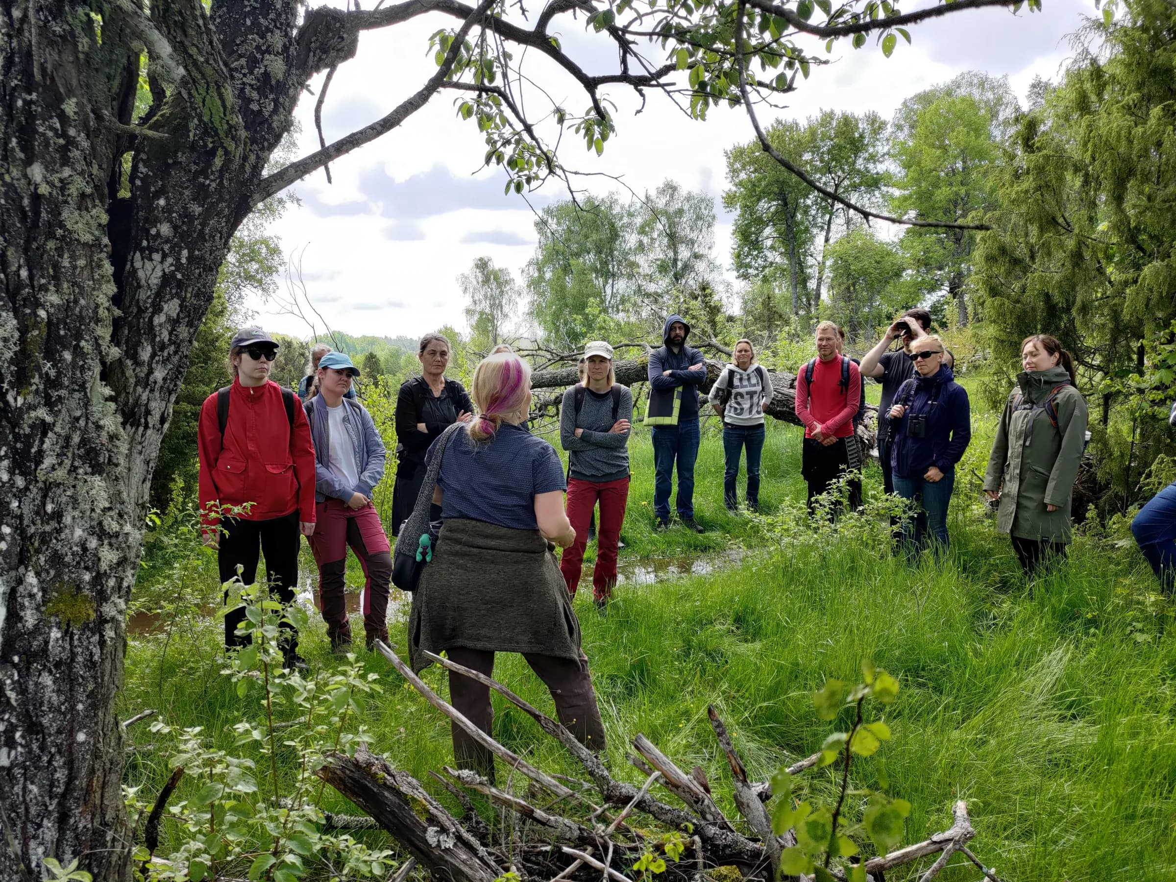 Prehistory and Swedish nature biking tours and nature walks — Tours
