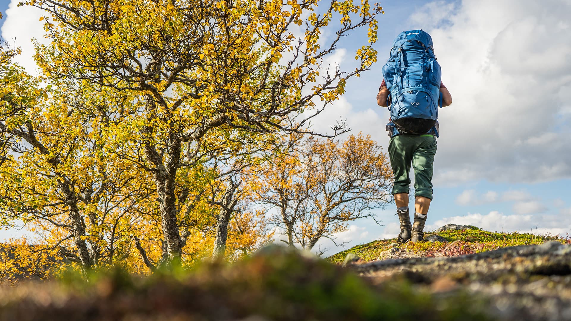 Wandern unter der Mitternachtssonne: Ihr arktisches Refugium – 2 Nächte 3 Tage — Pakete