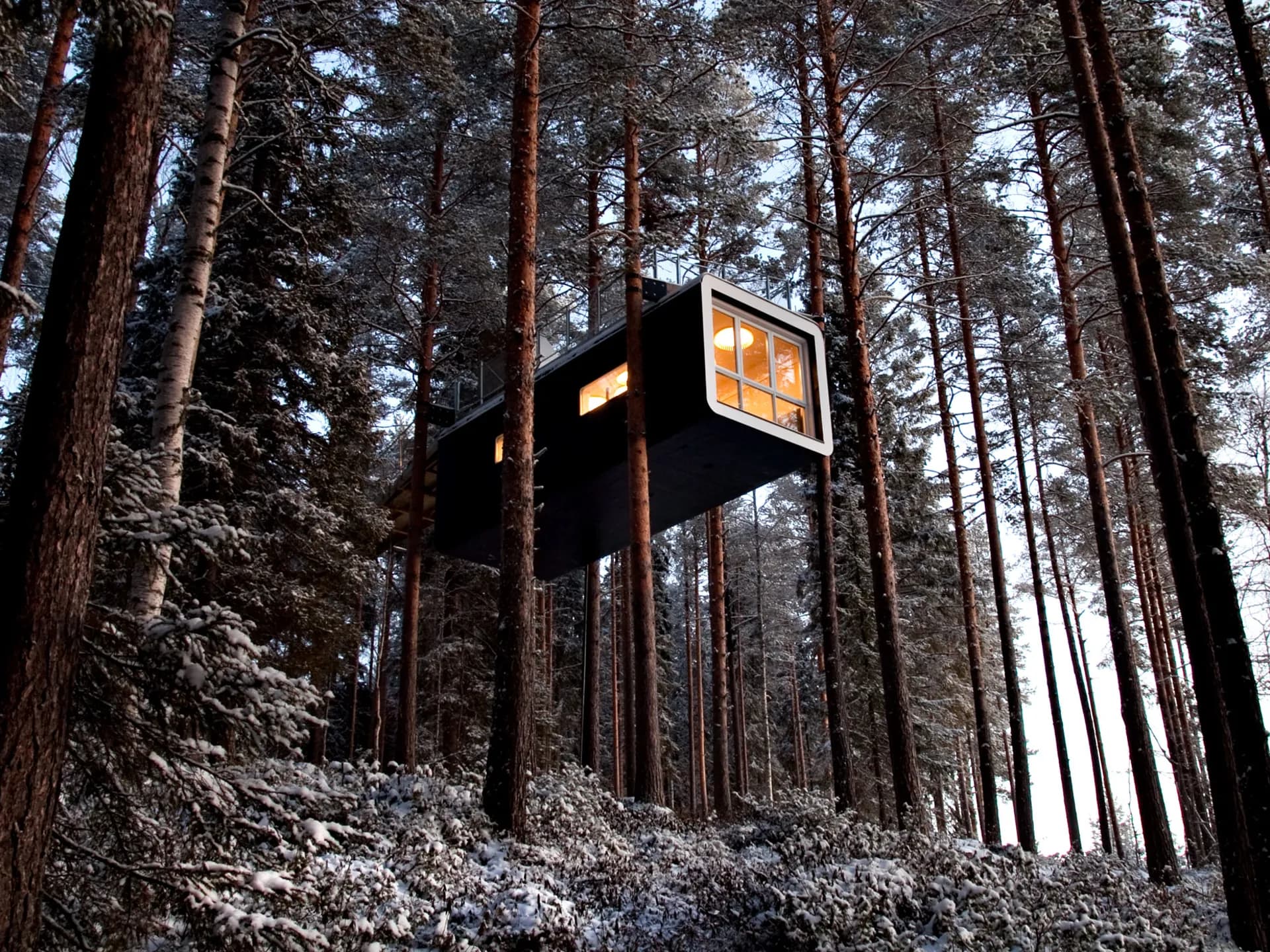 The Ultimate Swedish Lapland Expedition — باقات