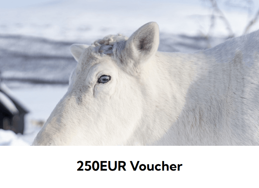 250EUR Voucher — Gift Card