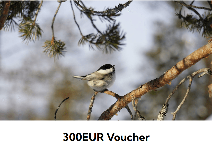 300EUR Voucher — Gift Card