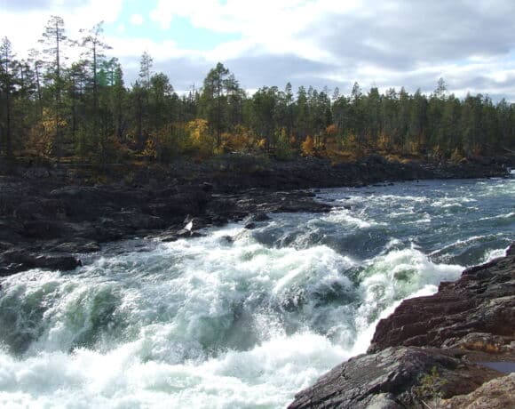 The Stora Sjöfallet nationalpark — تجارب