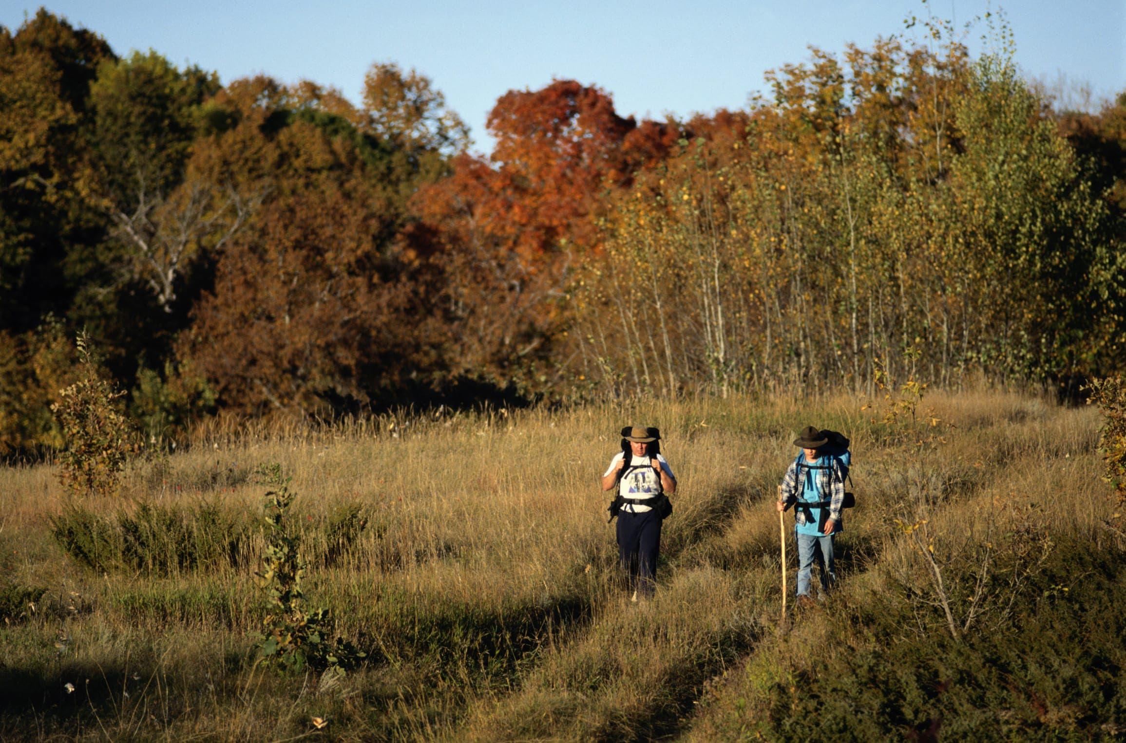 Walk and Talk — Experiences
