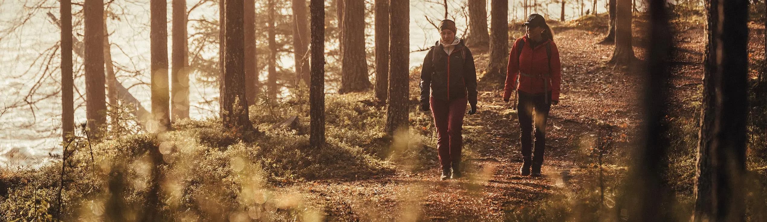 Hiking Around Storforsen — Experiences