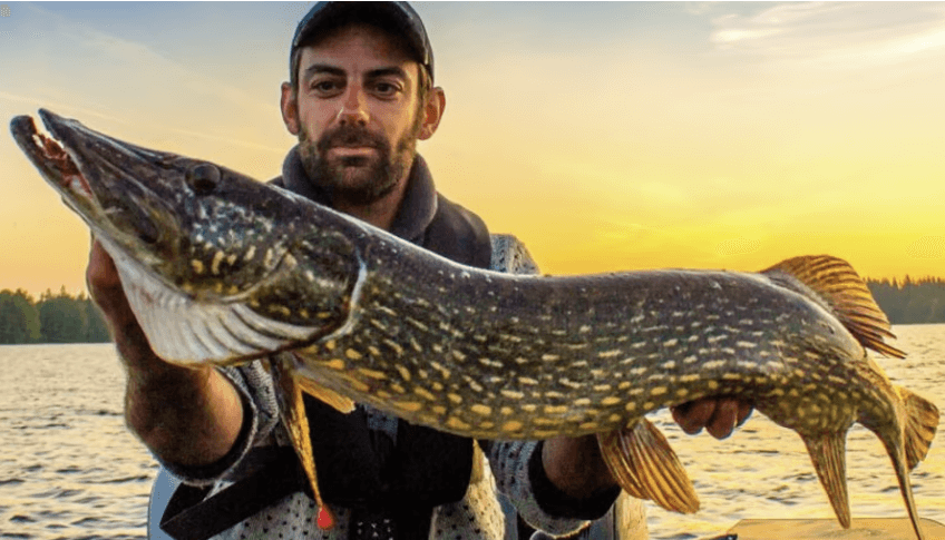 Relaxing Fishing Getaway in Småland — Packages