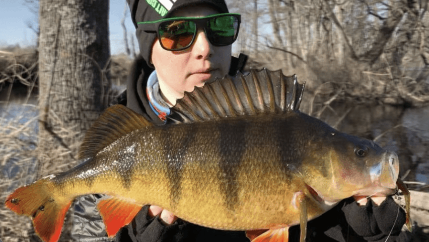 4-Day Småland Fishing Escape at Ödevata Gårdshotell — Packages