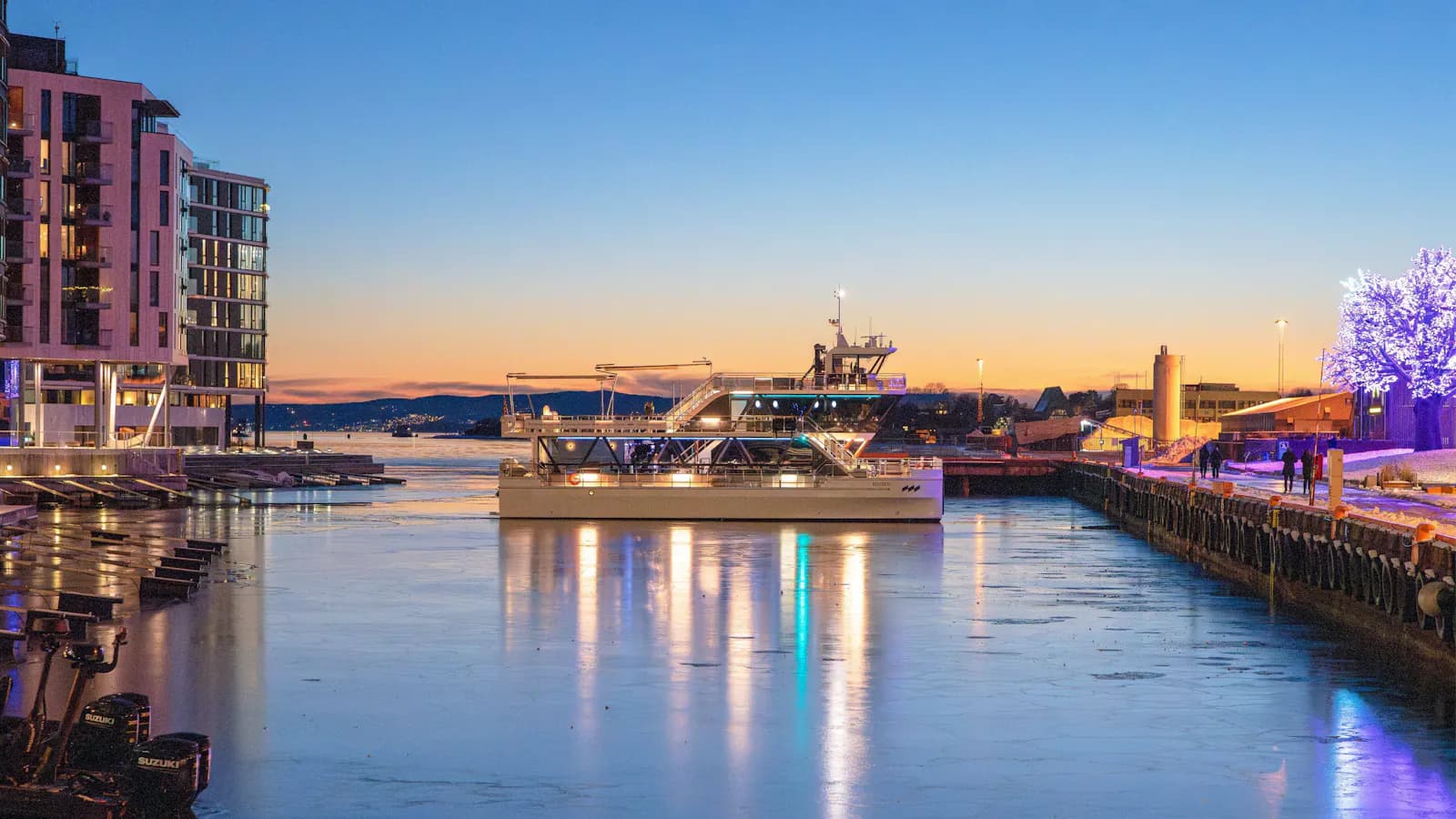 Oslo - New Year's Eve Cruise — Experiences