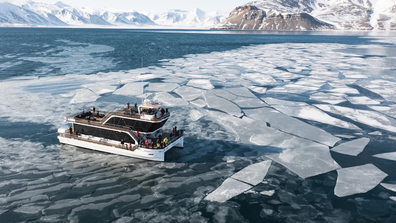 Svalbard Wildlife and Glacier Cruise — Experiences