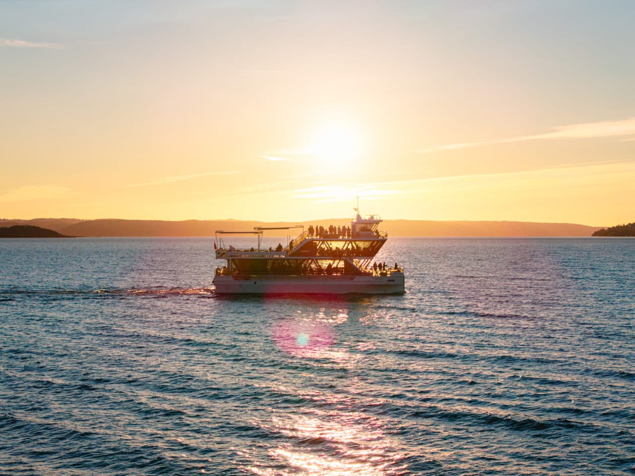 Arctic Summer Seafood Cruise — Experiences