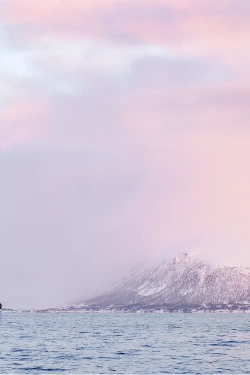 Tromsø - Silent Whale Watching by Hybrid-Electric Ship — Experiences