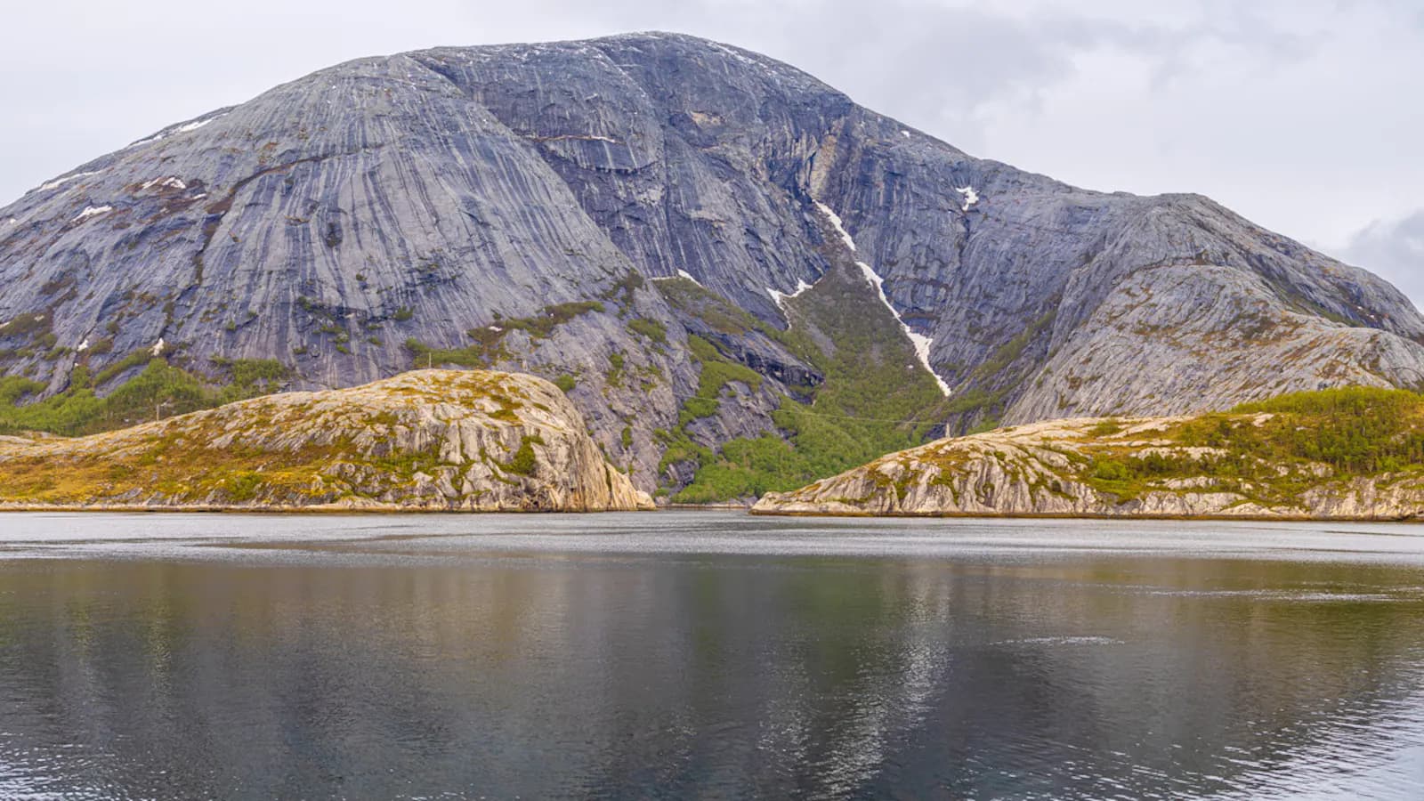 Bodø - Beiarfjord & Saltstraumen Cruise — Tours