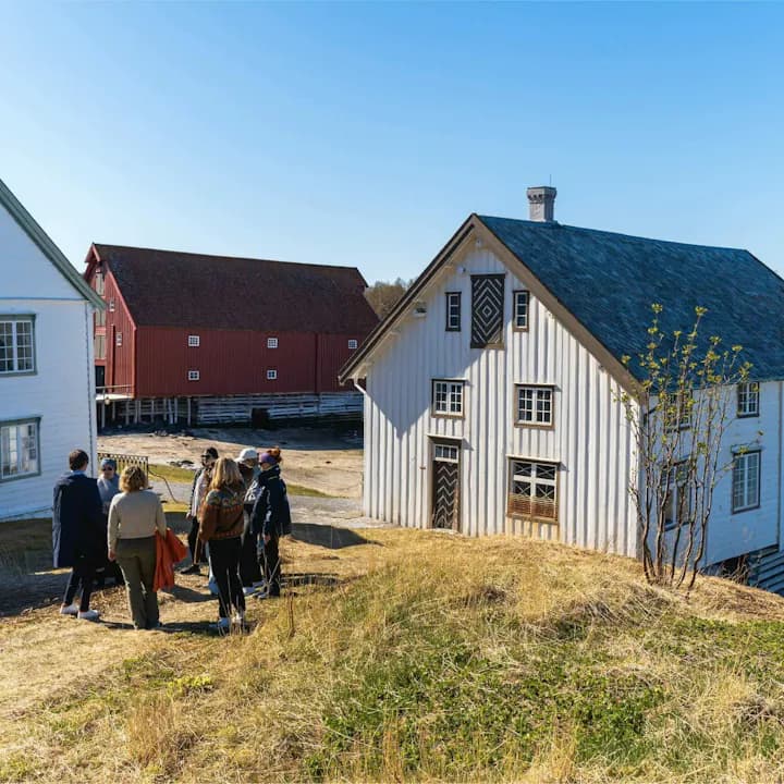 Bodø - Arctic Light Cruise — Experiences