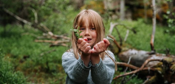 Flingas Fjällklubb — Experiences