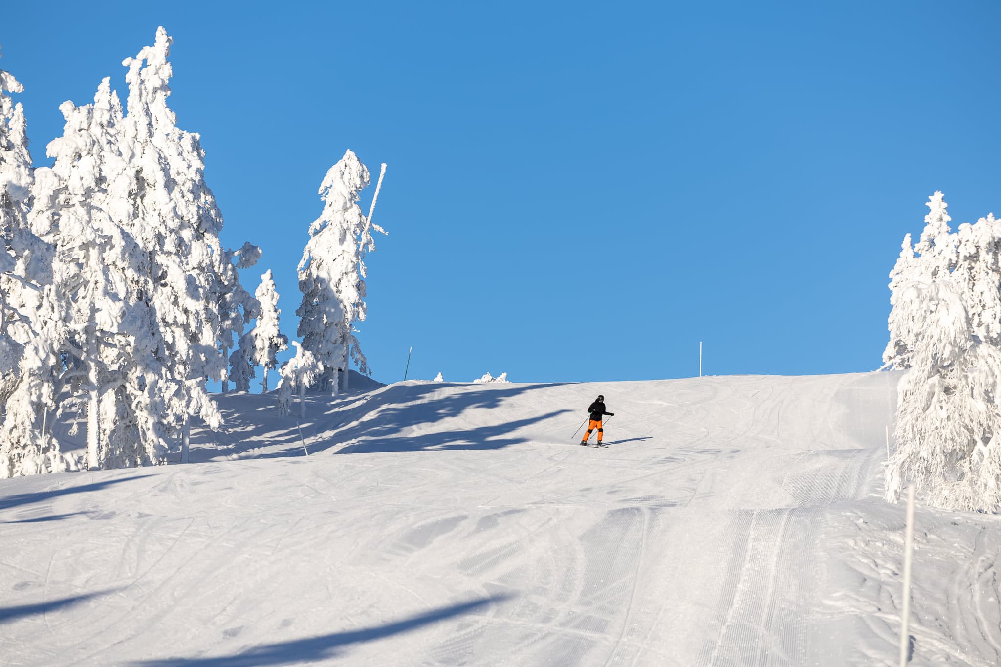 Guided Snowmobile Tours — Experiences